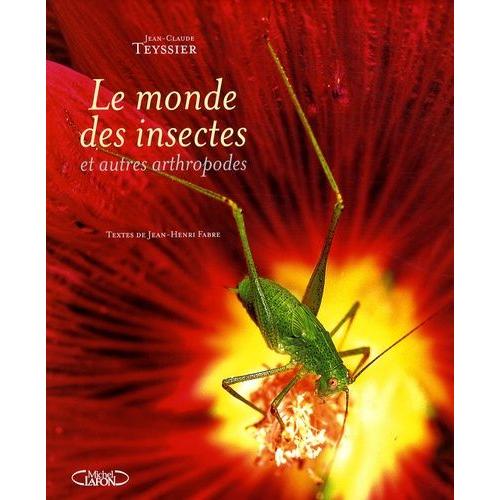 Le Monde Des Insectes Et Autres Arthropodes