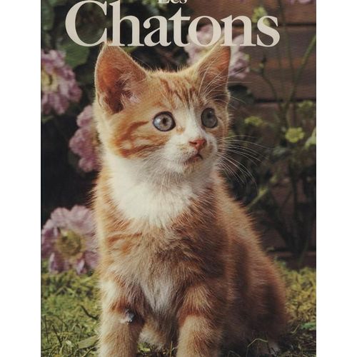 Les Chatons