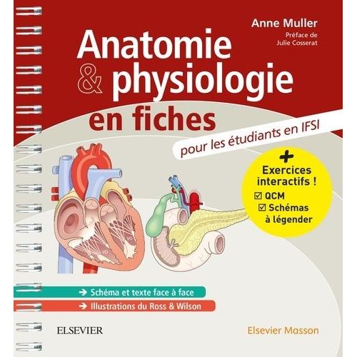 Anatomie Et Physiologie En Fiches Pour Les Étudiants En Ifsi