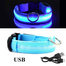 Acheter Collier LED pour chien, Rechargeable par USB, étanche, pour la  marche nocturne, lumineux, haute visibilité, lumineux, Anti-perte
