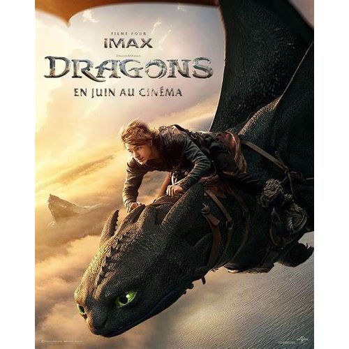 Affiche Officiel Cinema Du Film Dragons Pf