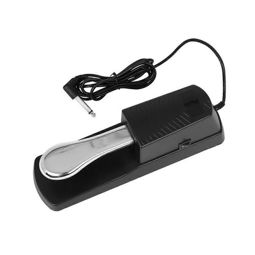 Universal Sustain Damper Pedal Piano Keyboard Hand Roll Piano Keyboard Synthétiseur Instrument Acces