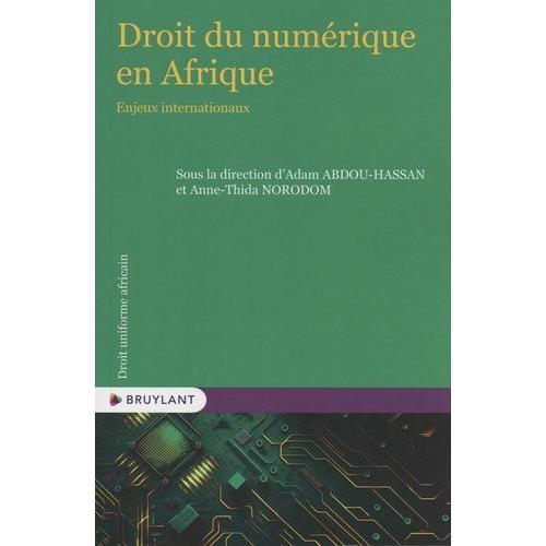 Droit Du Numérique En Afrique - Enjeux Internationaux