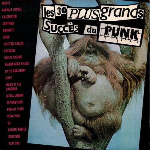 Les 30 Plus Grands Succès Du Punk