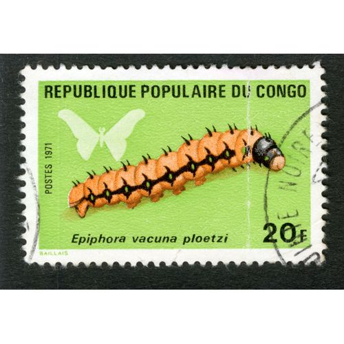 Timbre Oblitéré République Populaire Du Congo, Epiphora Vacuna Ploetzi, Postes 1971, 20 F