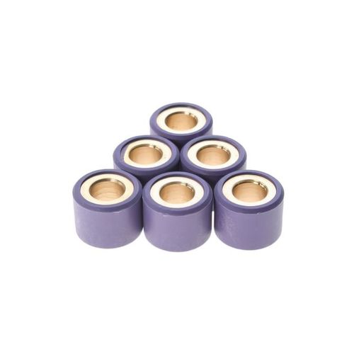 Galets de variateur (x6) RMS 19x15.5mm - 8.3g