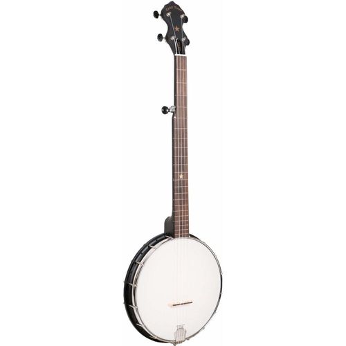 Gold Tone Ac-1fl Banjo 5 Cordes Sans Frette ? Dos Ouvert Avec Housse