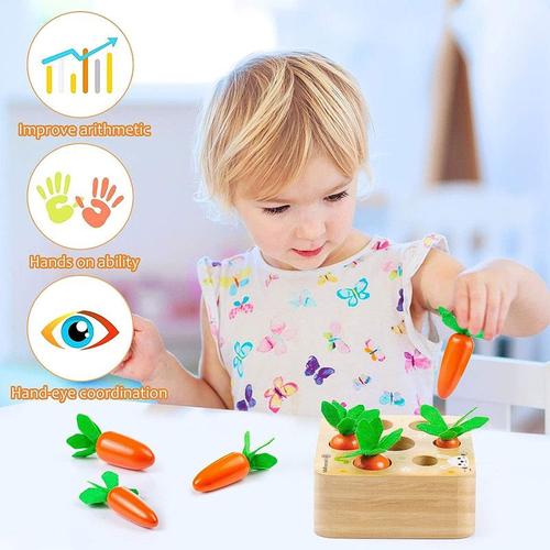 Jouet Montessori 1 2 3 Ans Enfant, Jeux d?Éveil Éducatifs Montessori Bébé  12-36 Mois, Récolte de Carottes en Bois Puzzle, Jeu de Tri Motricité,  Cadeaux d'anniversaire Garçons Filles