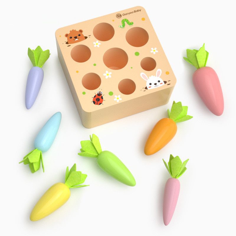 Carottes En Bois, Jouets Éducatifs En Bois Pour Les Tout-Petits Blocs De Motifs En Bois Jouets Éducatifs Classiques Carottes Jeu D'association Pour Le Développement Des Enfants