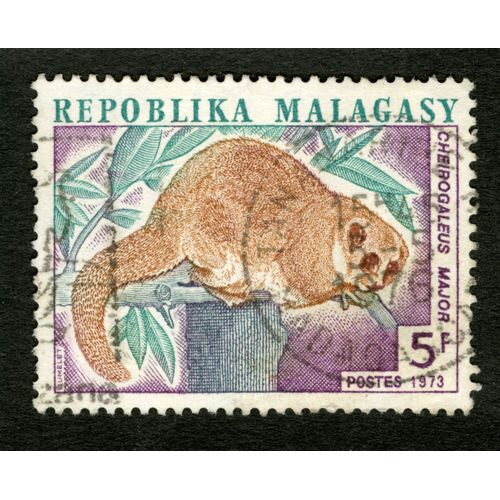 Timbre Oblitéré Repoblika Malagasy, Cheirogaleus Major, Postes 1973, 5 F