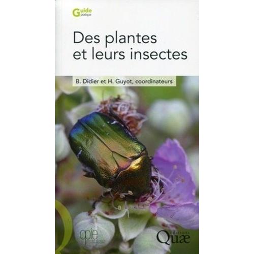 Des Plantes Et Leurs Insectes