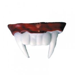 Dentier Vampire - Spécial Haloween
