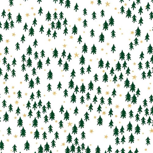 Papertree 50*70 100g Noel Vert - Lot De 10 Feuilles