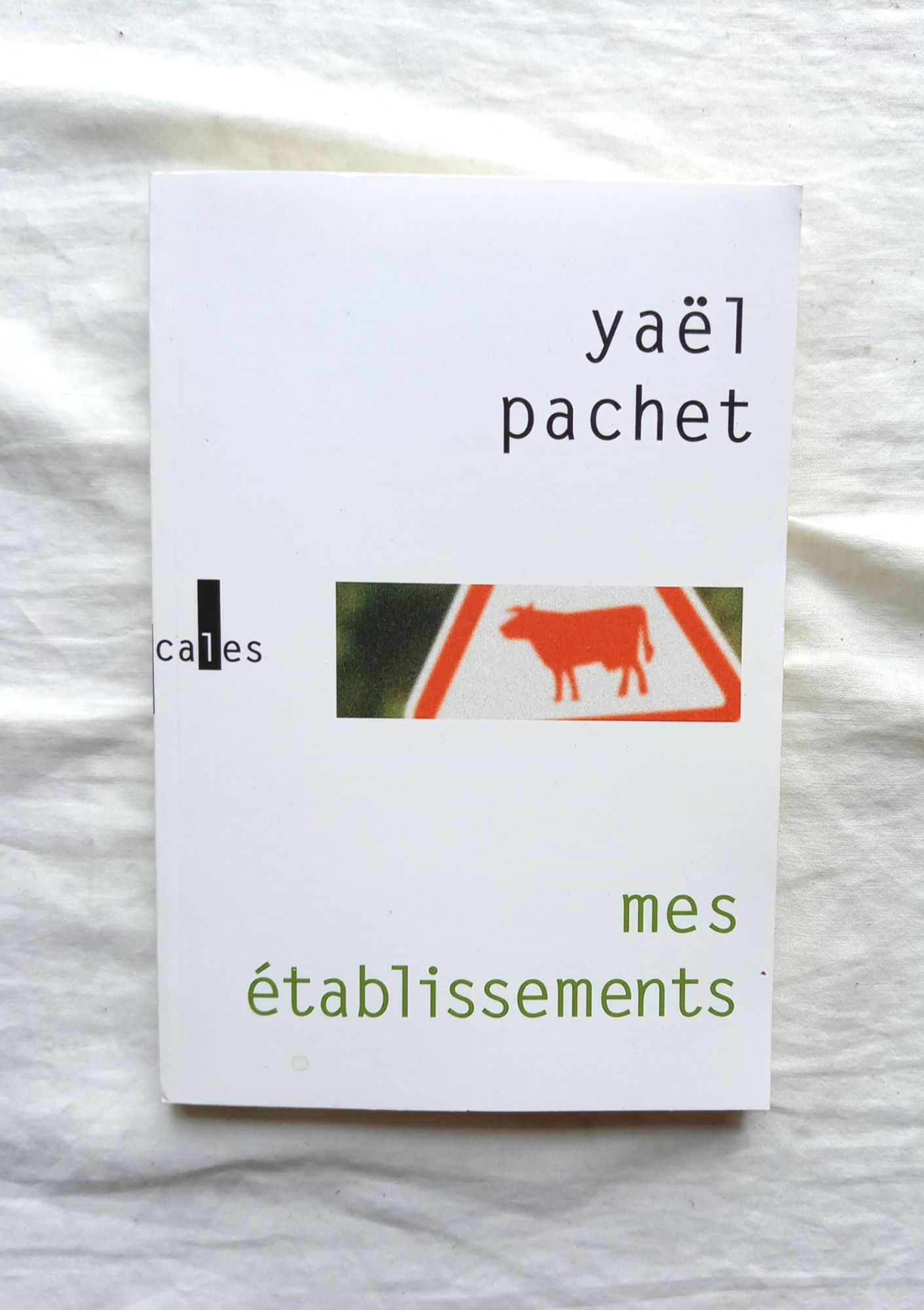 Yaël Pachet, Mes Établissements, Verticales, 2004