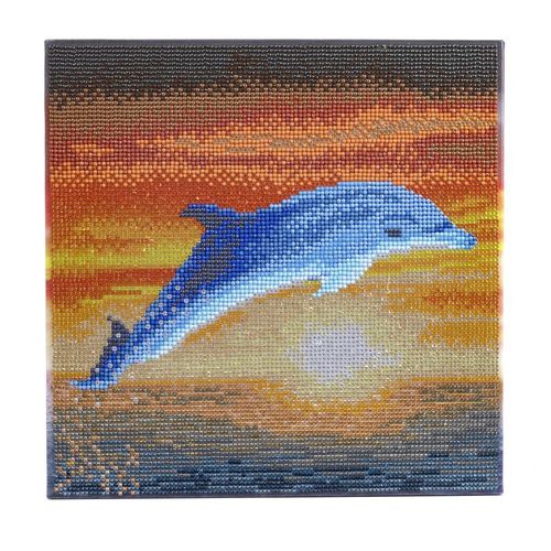 Crystal Art Kit Tableau Broderie Diamant 30x30cm Dauphin