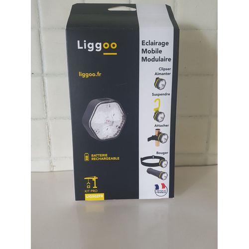 Eclairage mobile modulable 5 en 1 rechargeable