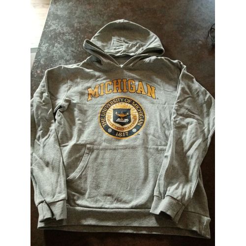 Sweat Polaire Capuche Gris Garçon 14 Ans Michigan Très Bon État
