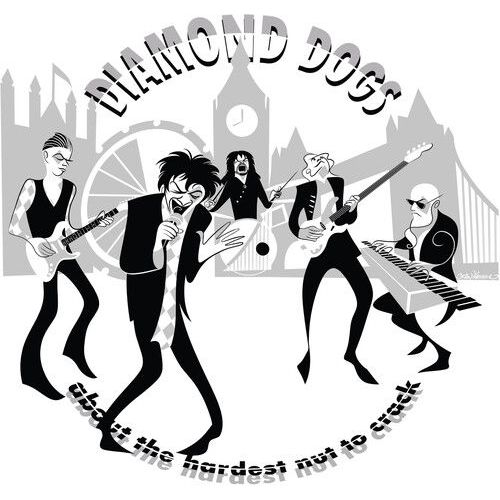 Diamond Dogs - About The Hardest Nut To Crack [Compact Discs]