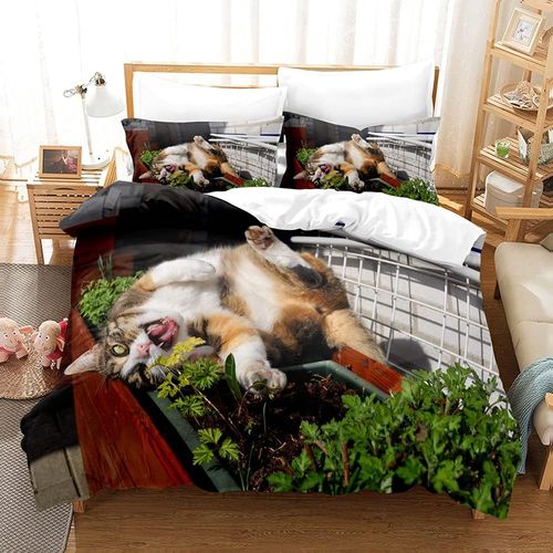 Parure De Lit En Microfibre Sur Le Th¿¿Me Du Chat, Housse De Couette Et 2 Taies D'oreiller, Facile D'entretien