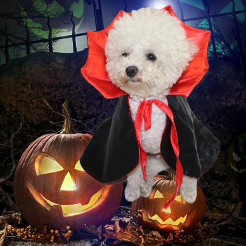 Cape pour chien d guisement Halloween chien d guisement chien