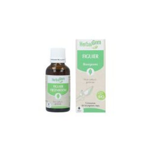 Macérat Figuier - Herbalgem - 30ml 