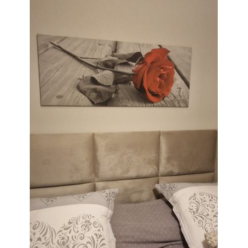 Toile Rose Rouge