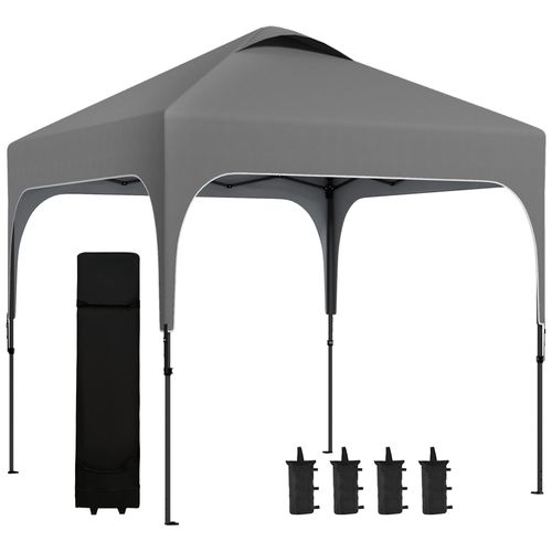 Tonnelle Barnum Automatique Pop-Up Dim. 2,53l X 2,53l X 2,68h M Hauteur Réglable Nombreux Accessoires Inclus Acier Oxford Gris