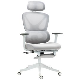 Chaise De Bureau Ergonomique Inclinable Support Lombaires Repose-Pied Blanc Gris