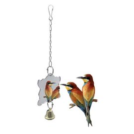 Jouet En Chaîne Pour Oiseaux, Perchoir Pour Perroquet, Jouet À Mâcher, Grand Miroir Pour Perroquet, Griffe Pour Cage D'oiseau, Perchoir À Mâcher, Miroir Pour Perroquet, Jouet Pour Cockatiel