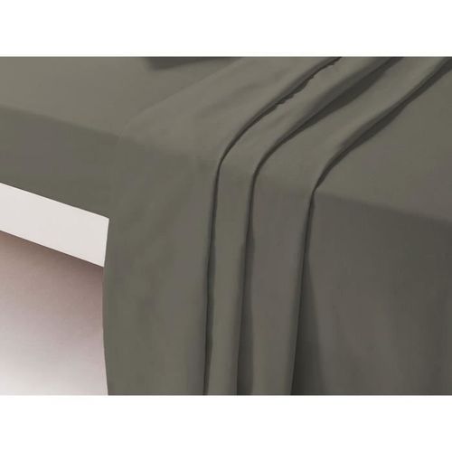 Dp135 Taupe Drap Plat Unis 2 Places 240 Cm X 300 Cm 100 % Coton
