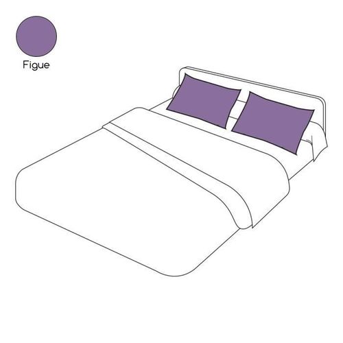 Taie D'oreiller Uni Violet Figue Coton 50x70 - Tradilinge