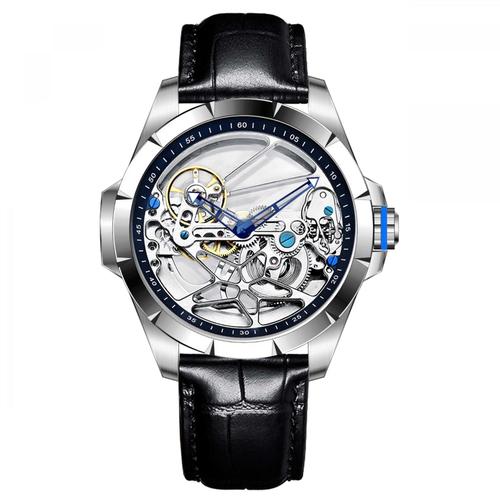 Montres m canique Tourbillon pour hommes automatique montre de