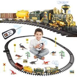 Grand ensemble de train pour garçons, jouets de train télécommandés avec  kits de dinosaures, train électrique
