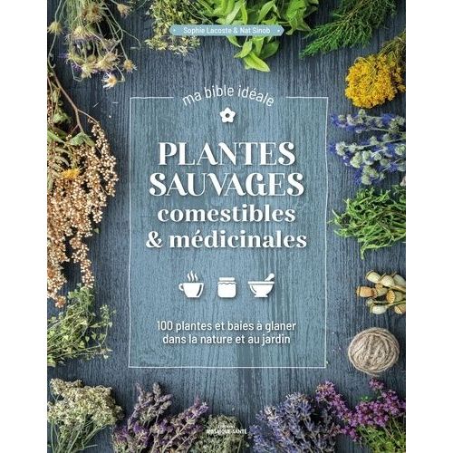 Plantes Sauvages Comestibles & Médicinales - 100 Plantes & Baies À Glaner Dans La Nature Et Au Jardin