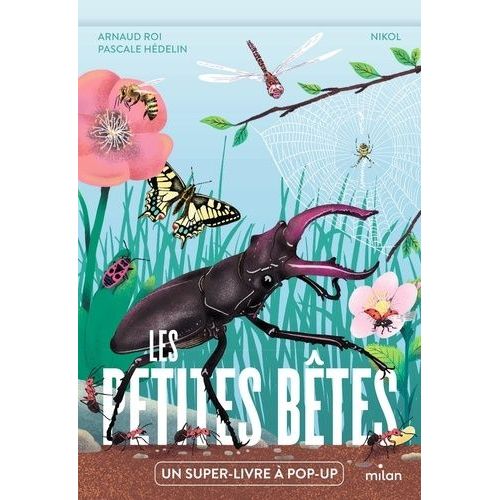Les Petites Bêtes - Un Super-Livre À Pop-Up