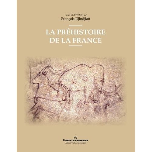 La Préhistoire De La France
