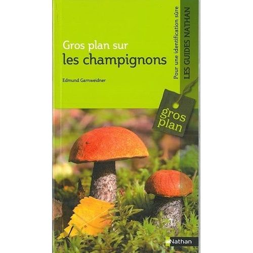 Les Champignons
