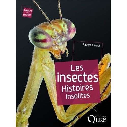 Les Insectes - Histoires Insolites