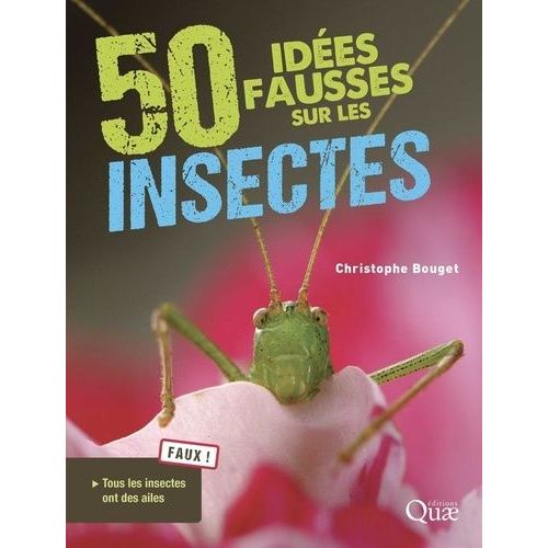 50 Idées Fausses Sur Les Insectes
