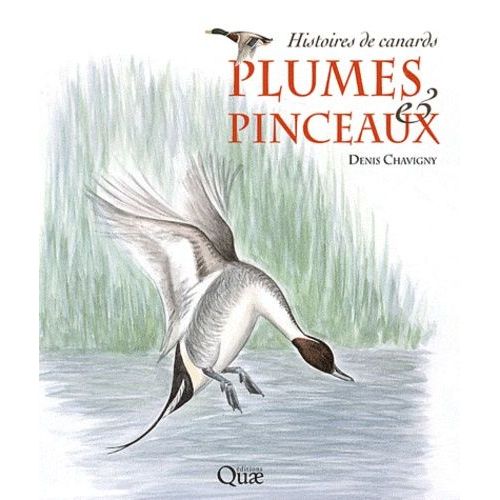 Plumes & Pinceaux - Histoires De Canards