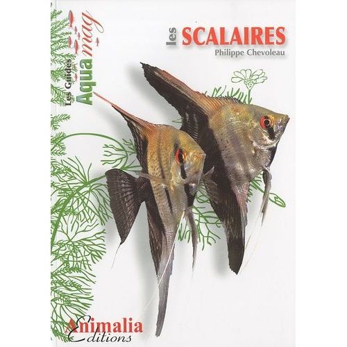 Les Scalaires - Le Genre Pterophyllum