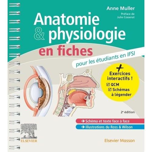 Anatomie Et Physiologie En Fiches Pour Les Étudiants En Ifsi