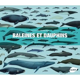 Baleines Et Dauphins - Histoire Naturelle Et Guide Des Espèces