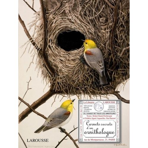Carnets Secrets D'un Ornithologue