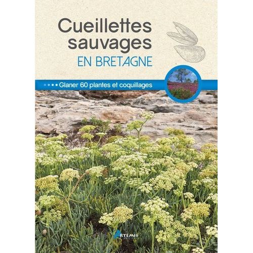 Cueillettes Sauvages En Bretagne - 60 Plantes, Fruits Et Coquillages À Glaner