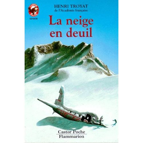 La Neige En Deuil