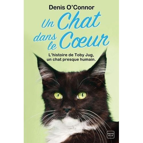 Un Chat Dans Le Coeur