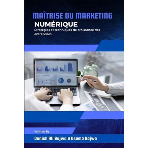 Maîtrise Du Marketing Numérique