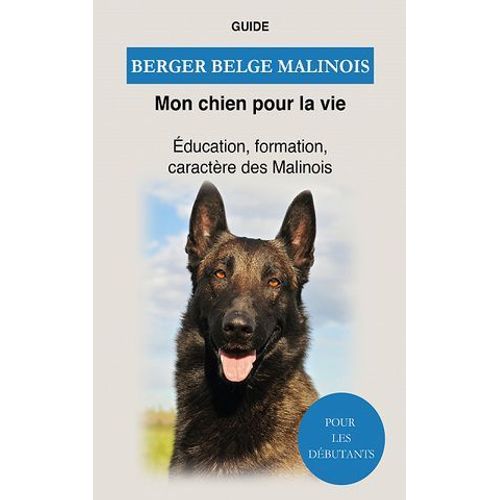 Berger Belge Malinois