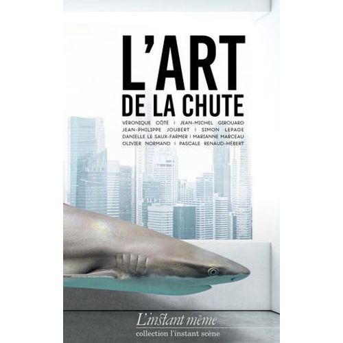 Art De La Chute (L')